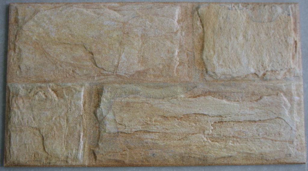 Galia Marfil Galia Marfil